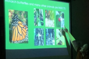 Magnificent Monarchs
