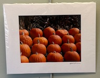 A collection of deep orange pumpkins, all of similar circular shape and size, organized neatly into columns and rows.