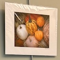A cluster of differently colored pumpkins resting in a nest of hay. The leftmost pumpkin is solid white. Beside it is a larger yellow pumpkin with darker marks forming stripes down the side. Three smaller pumpkins surround this pumpkin, a peach-colored pumpkin below and two orange pumpkins to the right.