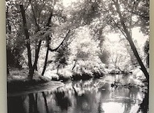 A still river reflects the trees and shrubbery that line its banks like a mirror. Captured in greyscale.