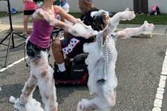 Children play covered in foam in the library parking lot