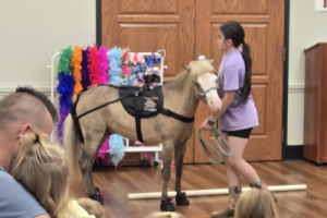 Summer Reading 2025: A visit from Roxxy and Roo